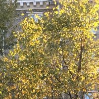 Октябрь....На закате... :: Татьяна Юрасова