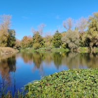 В ботаническом саду. :: Надежда 