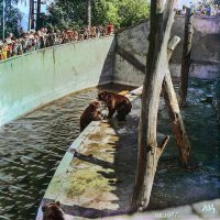 Мишки в Риге. :: Роланд Дубровский Мишки в Риге. :: Роланд Дубровский