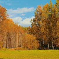 осень :: Владимир иванов