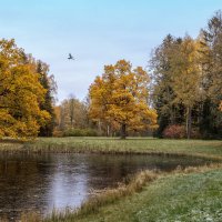 Про Питер :: Владимир Колесников