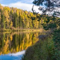 Обворожительно-красивая река Ухта 30 сентября. Осеннюю тишину нарушают только всплески хариуса. :: Николай Зиновьев