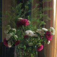 Букет осенний... :: Владимир Павлов