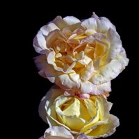 1 октября на ВДНХ :: Михаил Бибичков