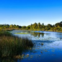 Осень в сентябре. :: Милешкин Владимир Алексеевич 