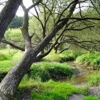 Городской парк в последний день сентября. :: Милешкин Владимир Алексеевич 