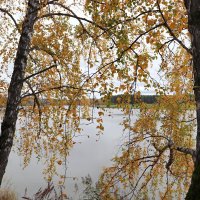 Шагает осень по Уралу :: Любовь Сахарова