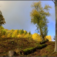 *** :: Aleksandr Gal *** :: Aleksandr Gal