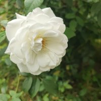 ,,, :: Сергей Тимоновский