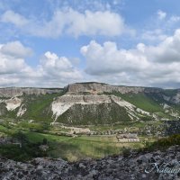 Природа Крыма :: Amazing Cosmea
