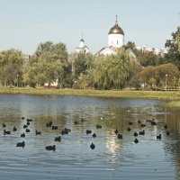 на озере :: Владимир Зырянов