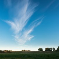 Уж небо осенью дышало :: Роман никандров