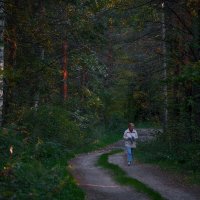 Дорога в лесу... :: Влад Никишин