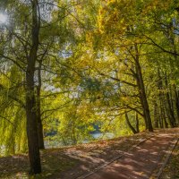 Октябрь в Царицыно... :: Владимир Жданов Октябрь в Царицыно... :: Владимир Жданов