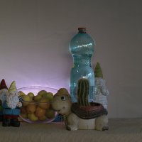 Собрал с дерева в переди  дома2025г :: ujgcvbif 