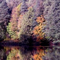 Царицыно 2 октября :: Михаил Бибичков Царицыно 2 октября :: Михаил Бибичков