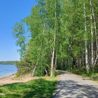 озеро :: Елена П