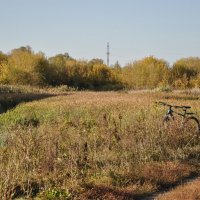 Осенние травы :: Татьяна Машошина Осенние травы :: Татьяна Машошина