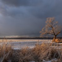 весеннее ненастье :: Galina весеннее ненастье :: Galina