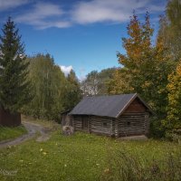 "Запаздывающая осень на окраине у околицы"© :: Владимир Макаров