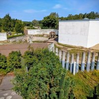 И слона приметили) :: Veera V И слона приметили) :: Veera V