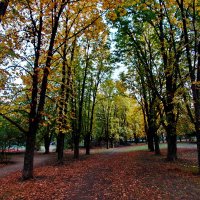 Осень в городе... :: Николай Саржанов