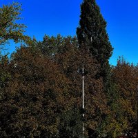 Солнечно! :: Юрий Гайворонскiий Солнечно! :: Юрий Гайворонскiий