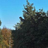 Хороший день :: Юрий Гайворонскiий