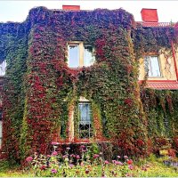 Украшение замка. :: Валерия Комова Украшение замка. :: Валерия Комова