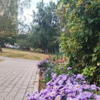 ,,, :: Сергей Тимоновский