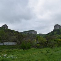 Природа Крыма :: Amazing Cosmea
