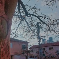 13  ОПЕН (453) :: OPEN WAYS ALL