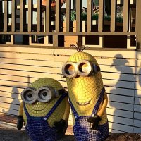 Любимые кукурузки)) :: Любовь 