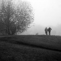 Утро туманное. :: Борис Бутцев