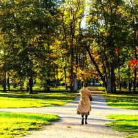 Прогулки в осеннем парке :: Aida10 