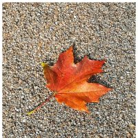 Осенний постер :: Любимова Ольга 