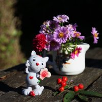 Теплое начало октября ..♥ :: Татьян@ Ивановна