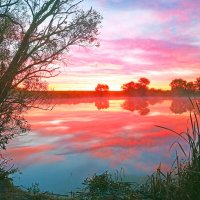 Алая заря - 2. :: Евгений Кузнецов