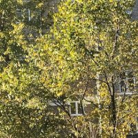 Последний солнечный денёчек.... :: Татьяна Юрасова