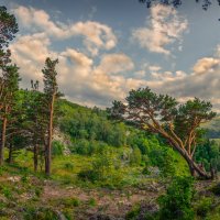 *** :: Аnatoly Gaponenko