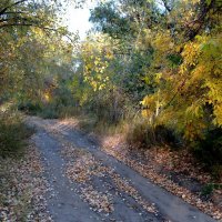 Октябрь :: Олегъ Петрович