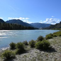 Катунь-спокойное течение :: Валерий Медведев