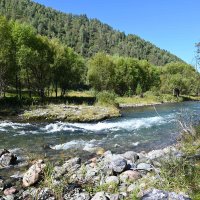 Горная река :: Валерий Медведев