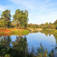 Осенним утром на пруду :: Андрей Снегерёв Осенним утром на пруду :: Андрей Снегерёв