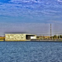 ВОДНЫЙ   ПАРК   В   ПУСТЫНЕ (1) :: Анатолий Малобродский