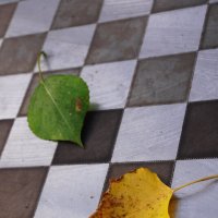 Ничья :: Наталия Григорьева