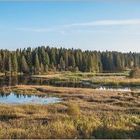 Про сентябрь :: Aquarius - Сергей