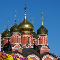 В парке «Зарядье» в сентябре-октябре цветут пышные поляны хризантем :: александр 