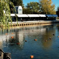 Ресторан «АльмаМоре» на берегу пруда. :: Татьяна Помогалова