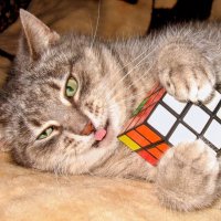 4 октября -Всемирный день защиты животных :: Veera V